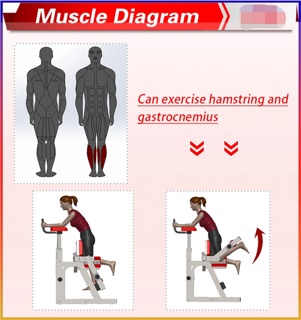 Commercial  Multi gym machine Gym Fitness Equipment Iso-lateral Kneeling Leg Curl