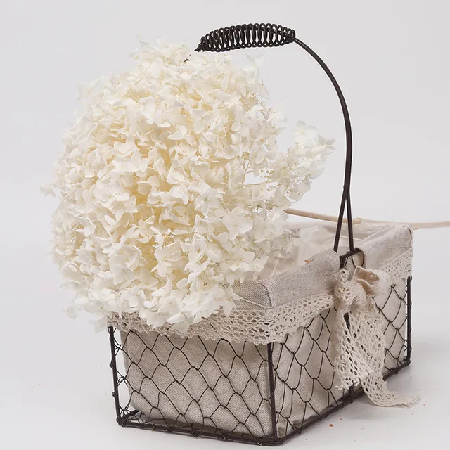 DIY Material Preserved Fresh Anna hydrangea Flower Long Lasting hydrangea