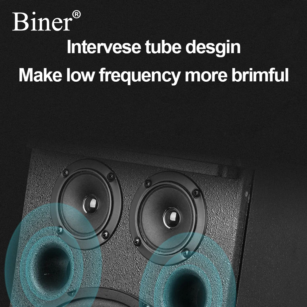 Biner D200 High Quality 10 Inch 100W Professional Audio Sound System Speaker For Family Cinema KTV