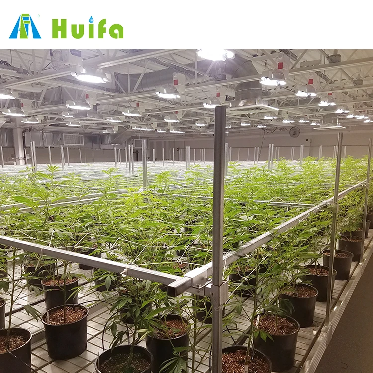 Customized greenhouse ebb and flow seed rolling bench hydroponic grow bed tray table systems rolling benches