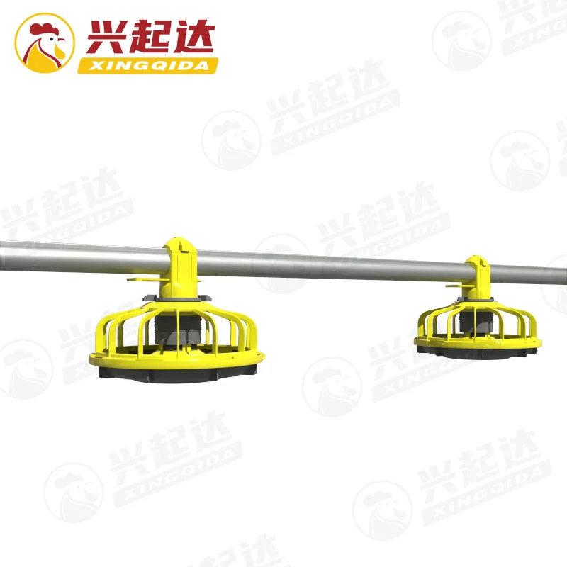 Automatic Chicken Poultry Feeder Pan auto chicken farming Feeding System equipment