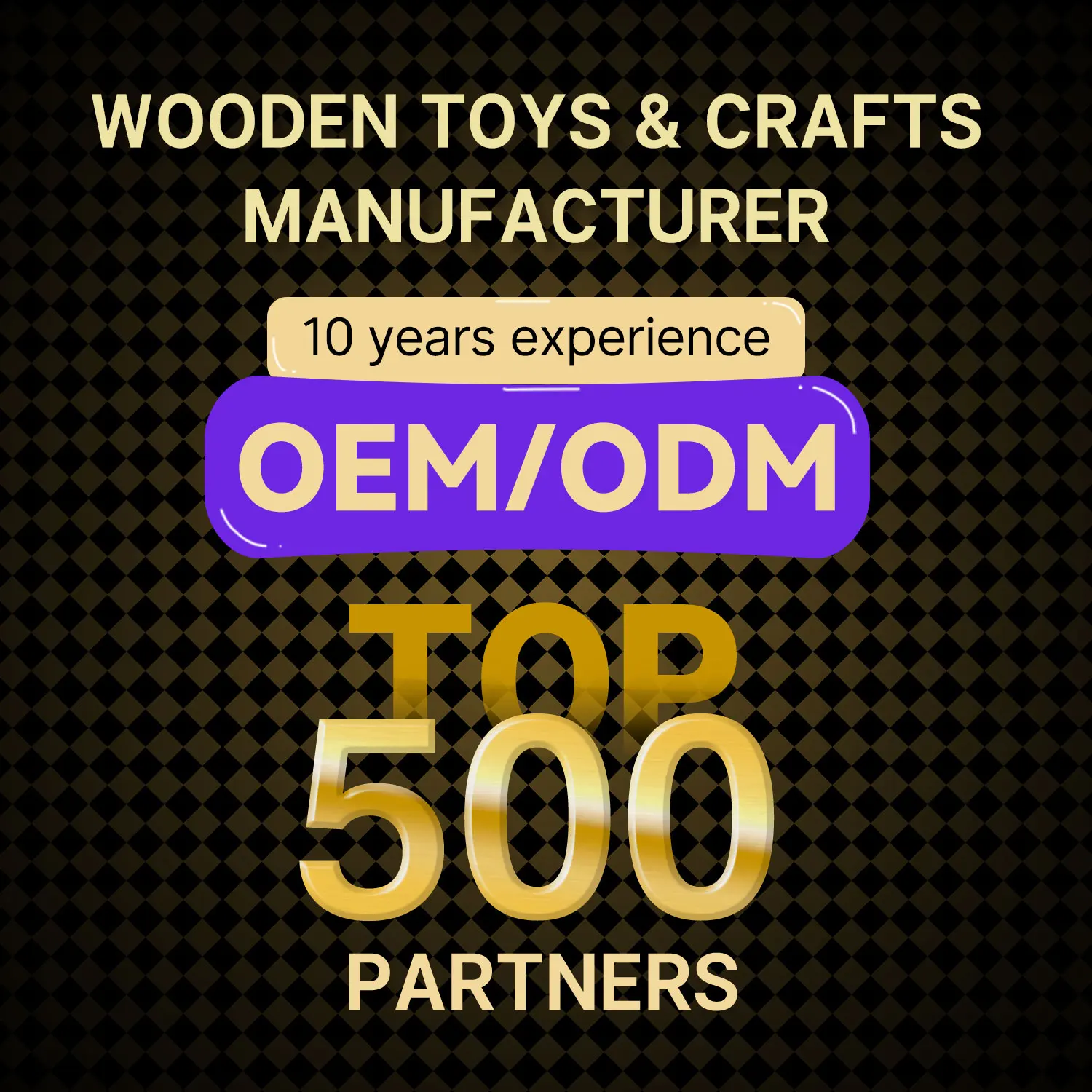 FSC Supplier Suture Practice Kit School Wooden Educational Toys Stem Kits for Students