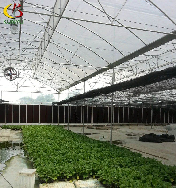 Gothic Arch Greenhouse Tropical Hydroponic System Agriculture Growing Sawtooth Plant House Tomato Planting For Sale