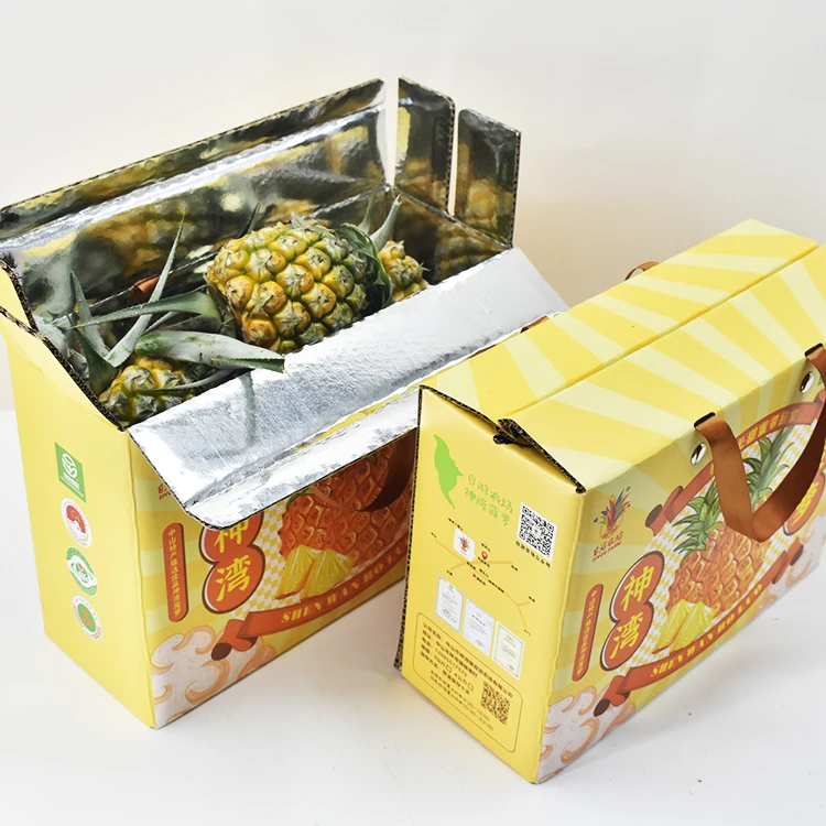 Wholesales 72 Hours Insulated Cooler Frozen Food Fruit Shipping Packaging Boxes Kraft Paper Corrugated Box Rigid Boxes Accept
