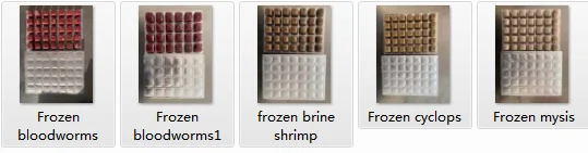 Frozen Brine Shrimp
