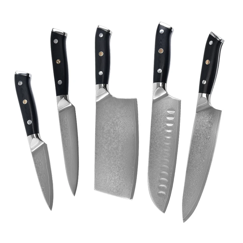 
professional 5 Pices cleaver knives Japanese 67 layers Damascus steel knife kitchen set with G10 handle 