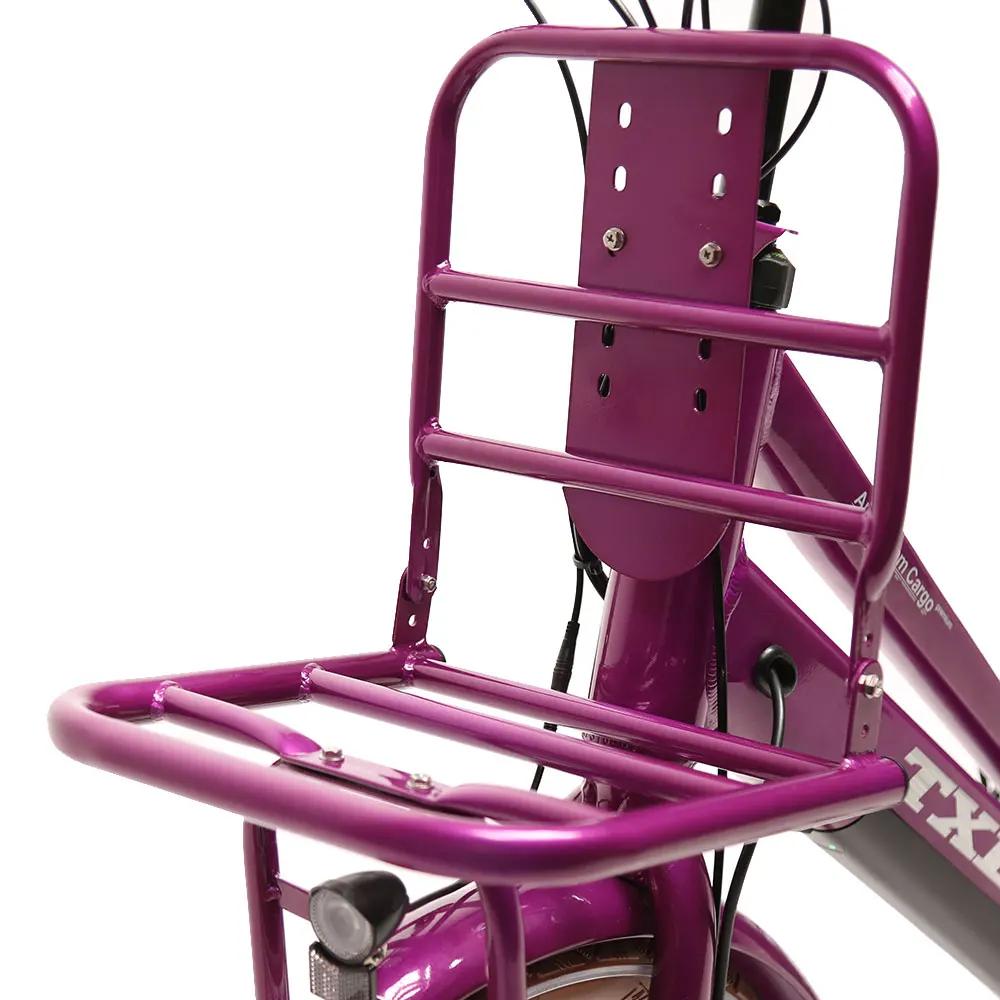 TXED 28 inch tire lady electric city bike 36V front hub motor cargo electric bike