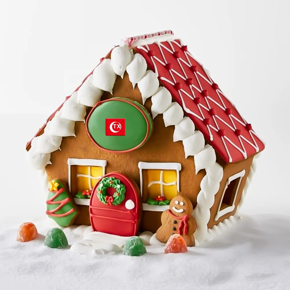 TX Acrylic Cake Nice Gingerbread House Shape Guides Baking Tools Acrylic Ganache Disc Cake Essentials Kit For Smooth Buttercream