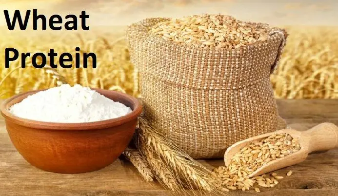 Заводская цена, высококачественный протеин пищевого класса, жизненно важный глютен пшеницы/протеин пшеницы