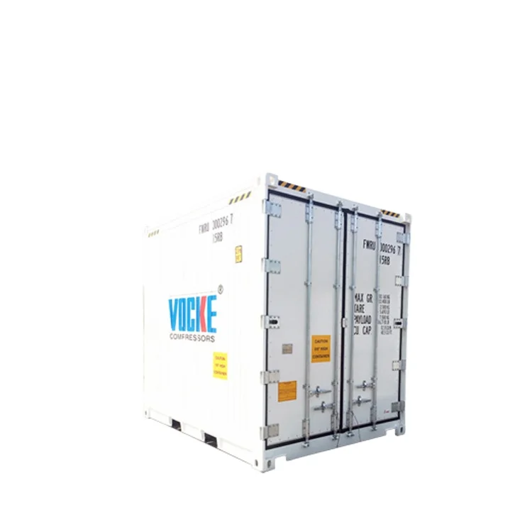 China Manufacturer Frozen Shipping Container 20 Feet Ultra Refrigerated Container For Sale