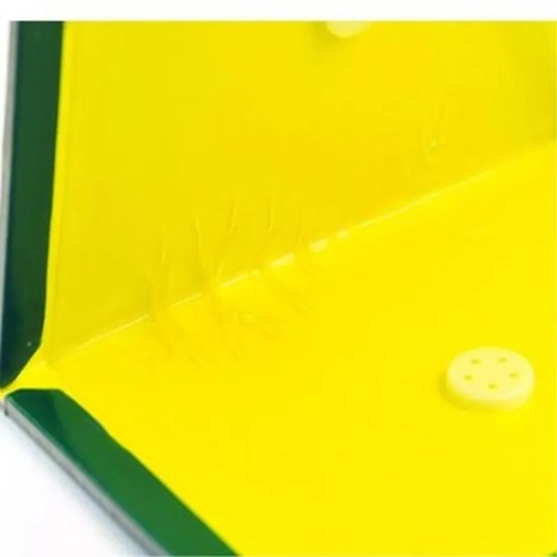 Insect Sticky Mouse Board Efficient Rodent Control Rat Snake Adhesive Non Toxic Environmental Protection Moue Glue Trap