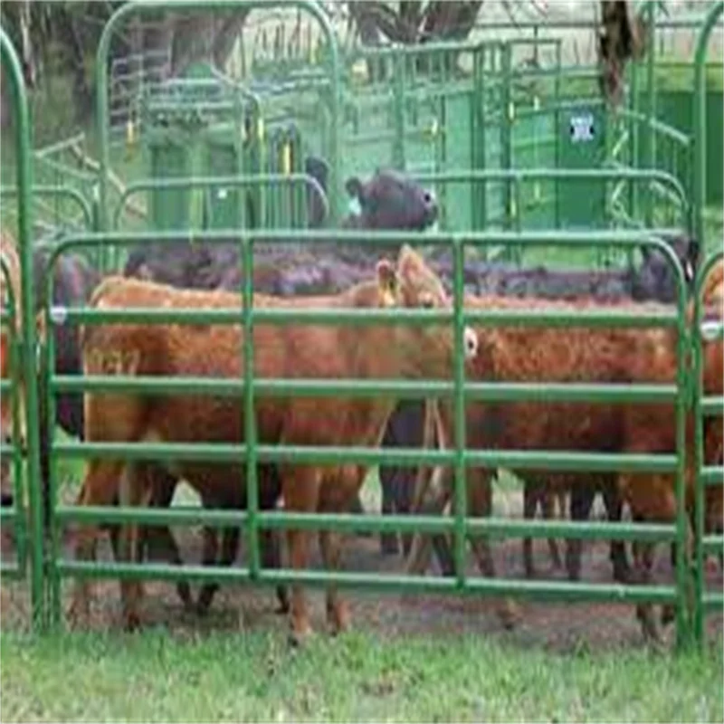 Wholesale heavy duty free standing galvanized welded metal tube bulk livestock yard cattle fence panels