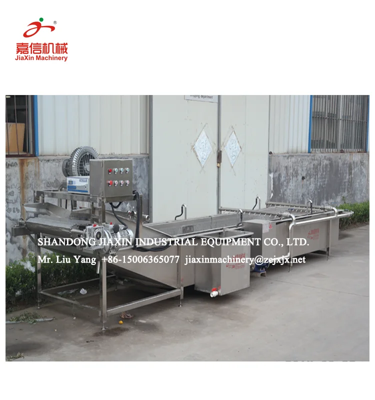 
304 stainless steel small fruits and vegetable washing sorting machine 