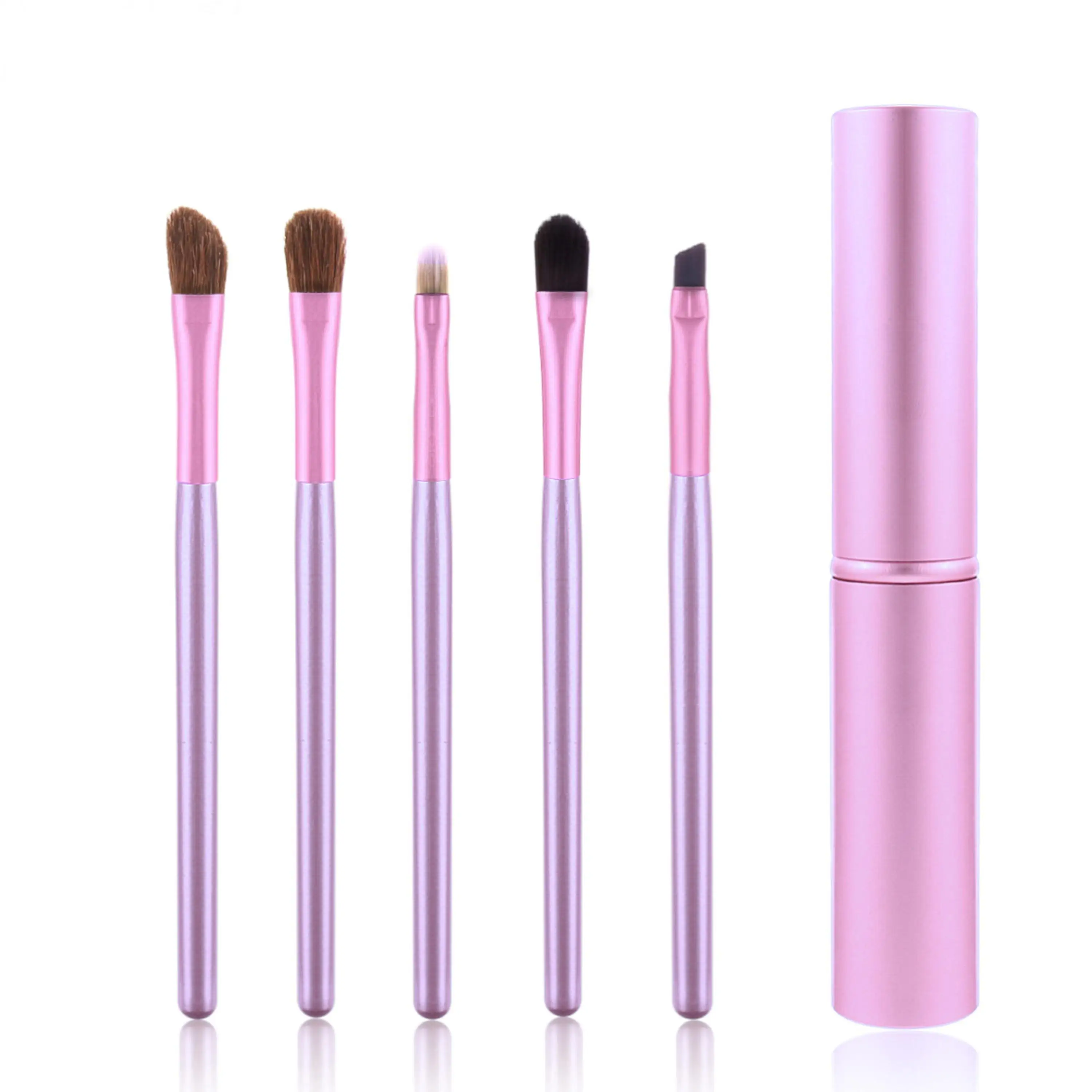 
Skyey Care 5pcs Travel Portable Mini Eyeshadow Makeup Brush Set With Aluminum Box 