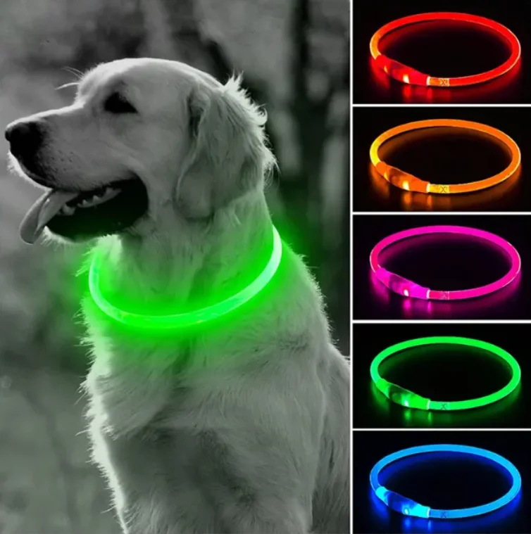2024 New Usb rechargeable LED illuminates dog pet collar Personalized collar customized dog products