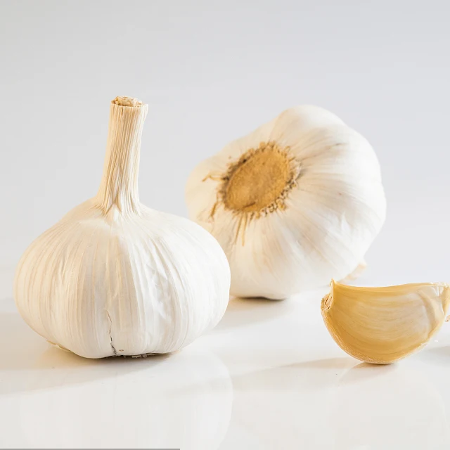 chinese 3p pure white garlic seek garlic buyer