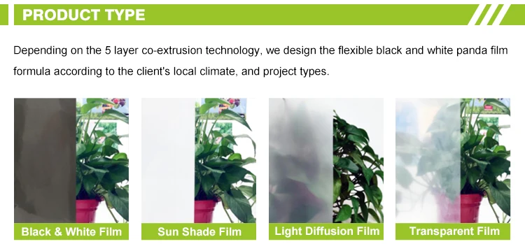Agricultural 4 years UV Protection Black White Panda Film Greenhouse Film