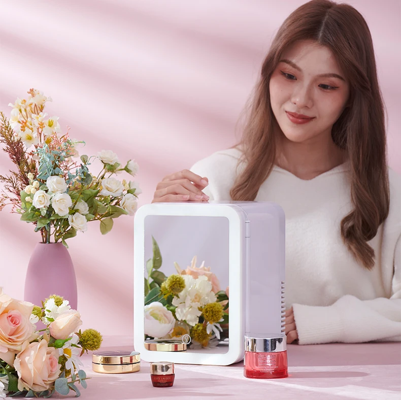 
Cosmetic Skin Care Makeup Freezer Used Beauty Small Fridge Mini Refrigerator Organizer Sales Mini Make Up Magnet Car Fridge 