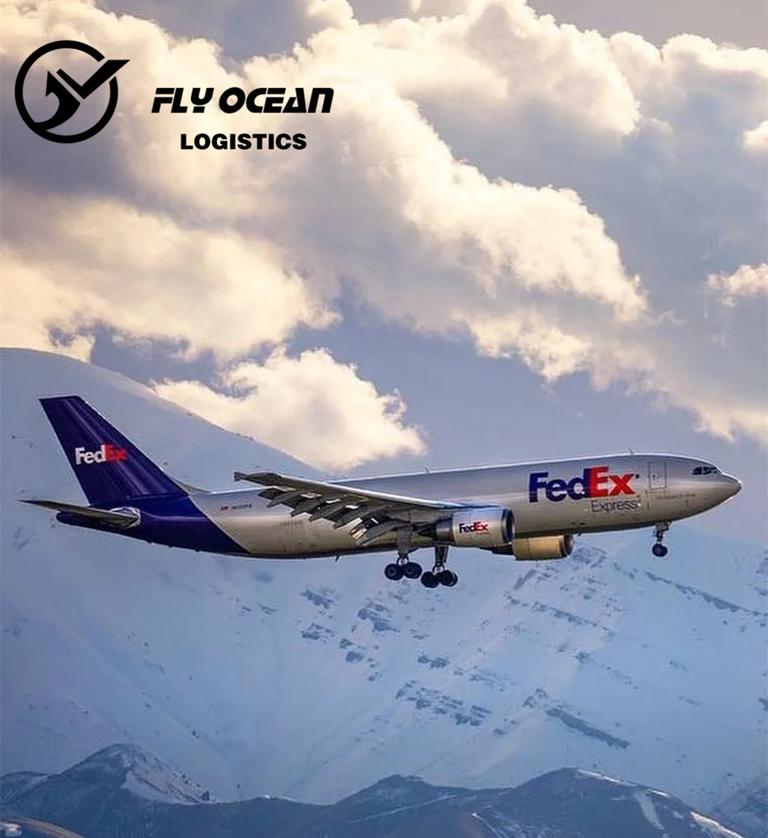 Fedex авиаперевозка курьерская служба Экспресс доставка от двери до Китай в Германию время перевозки Логистика глобальное Происхождение