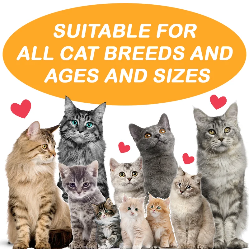 Private Label Pet Supplement Cat Coat & Skin Natural Omega-3 Fatty Acids Soft Chews Alaska Wild Salmon Oil for