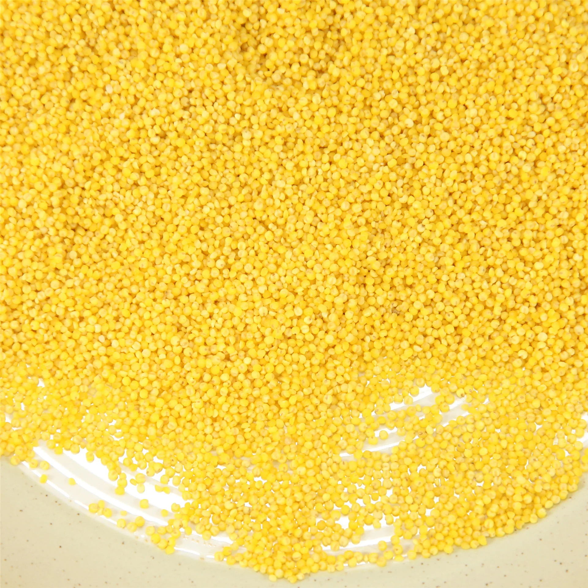 China Manufacturer New Product 500g Yellow Gluten-Free Grain Millet