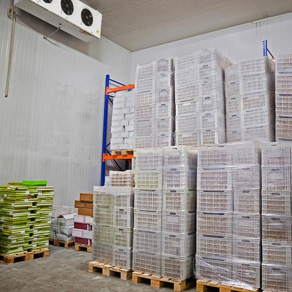 Commerical cold storage condensing unit fish vegetable  chicken deep freezer/refrigeration  cold storage