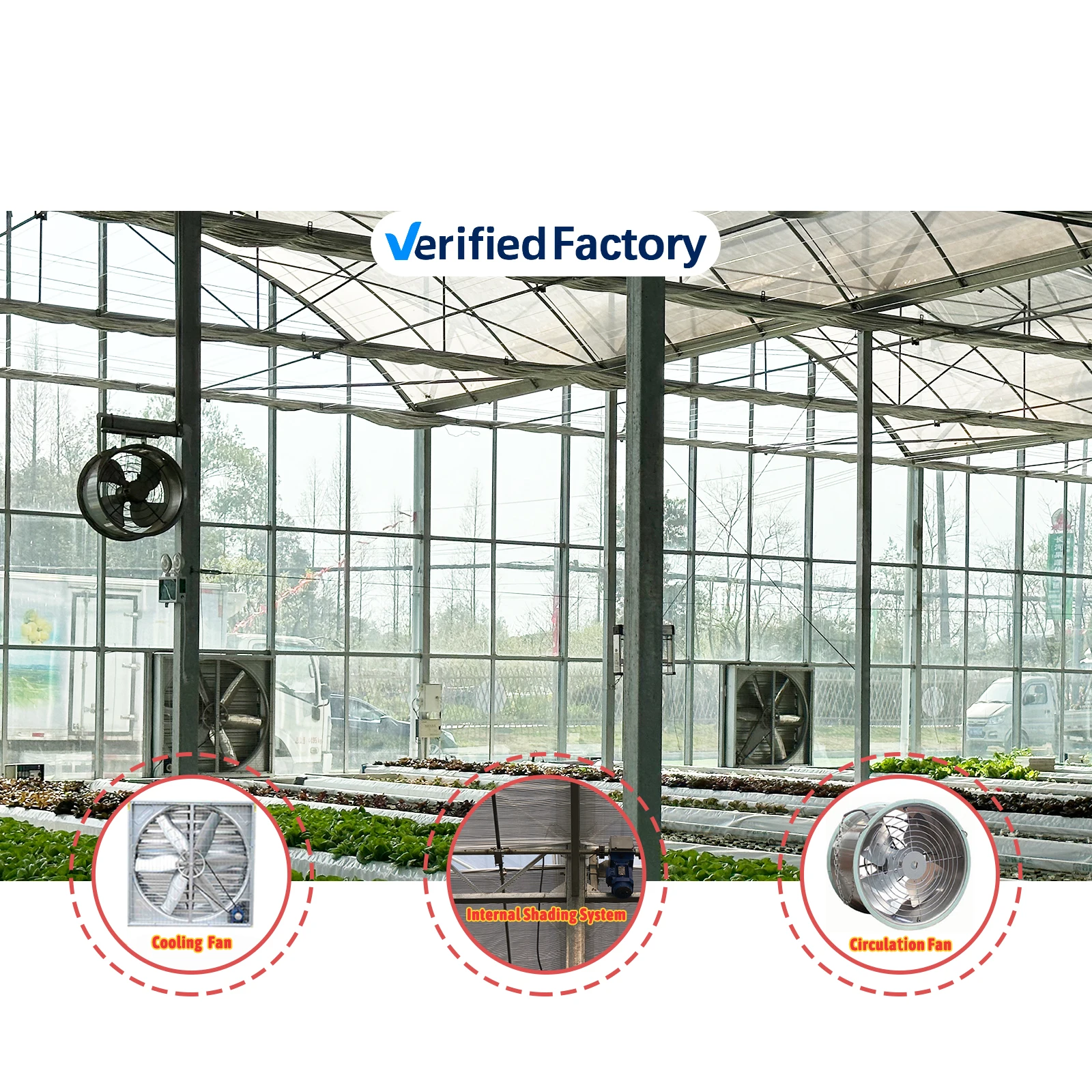 Greenhouse Plastic Protected Cheap Multispan Green House Structure Multi Span Film Greenhouses for Vegetable