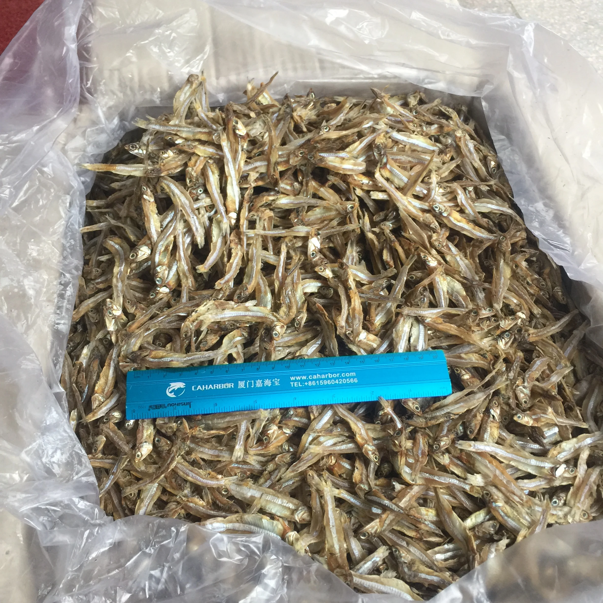 China origin  Dried Anchovy for Human