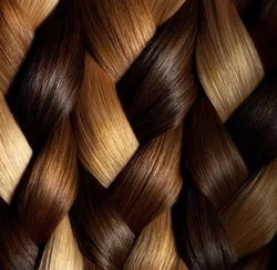 Factory Drop Shipping Mono Top  Lace Front  Hilight Ombre Balayage Brazilian European Human Hair Jewish Kosher Wigs