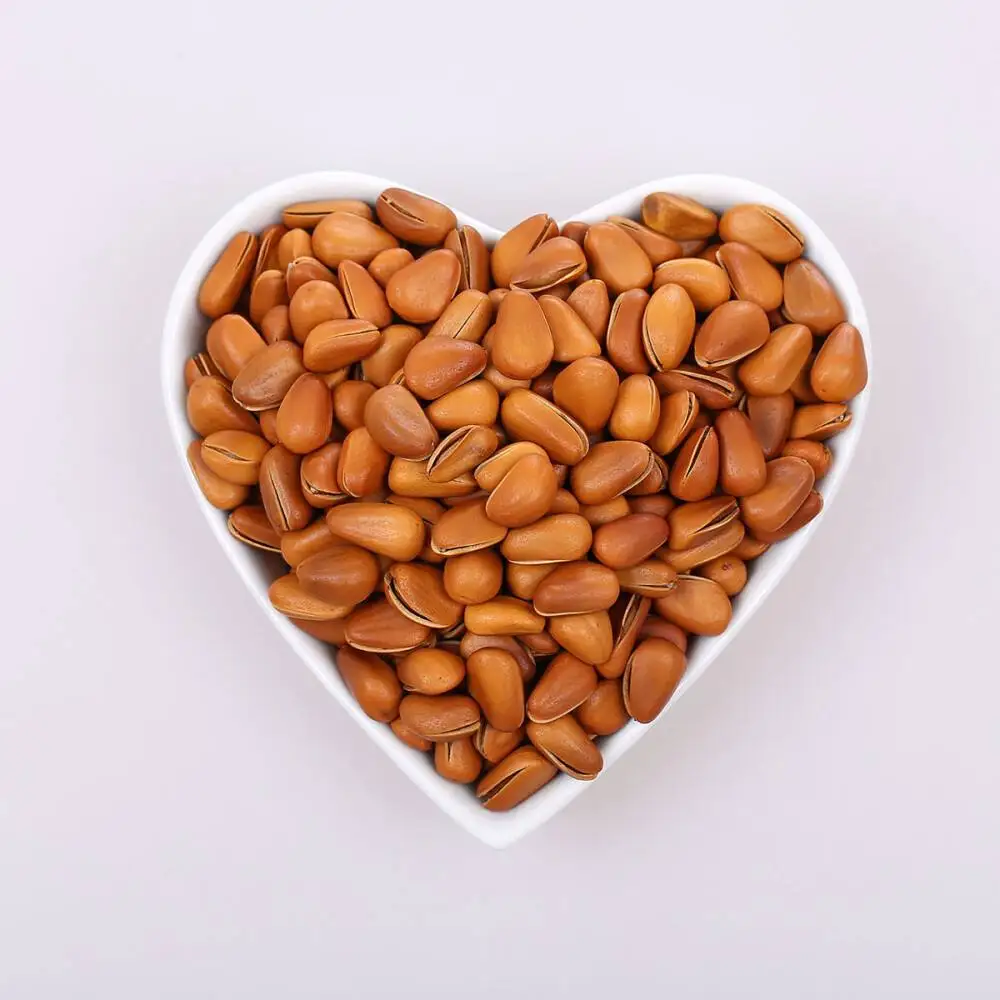 Wholesale Supplier Pine Nuts Kernel Cheap Price Roasted Dried Nut Snacks Open Pine Nut