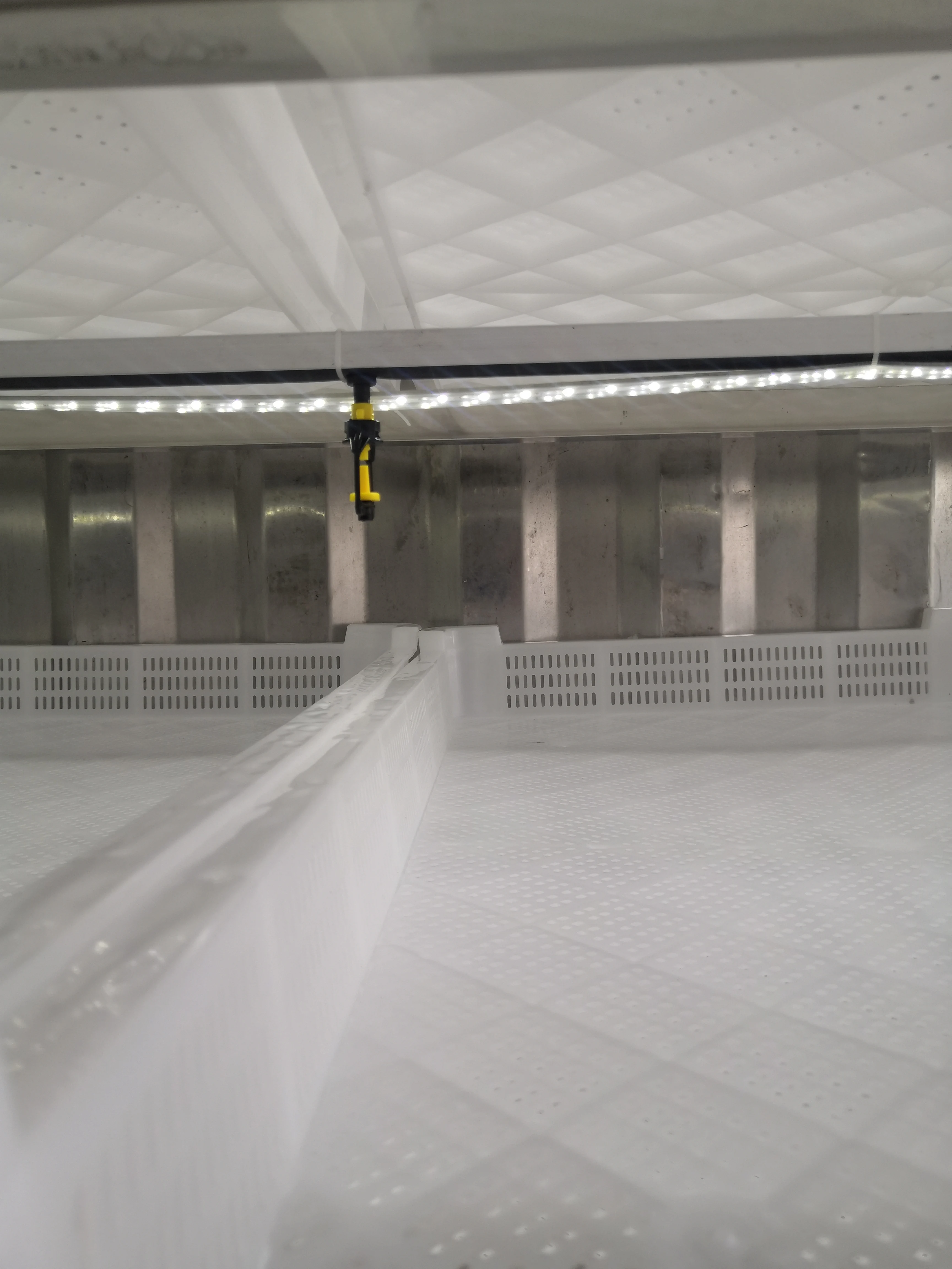 Container  Commercial Hydroponics Fodder System- Hydroponic Growing Systems