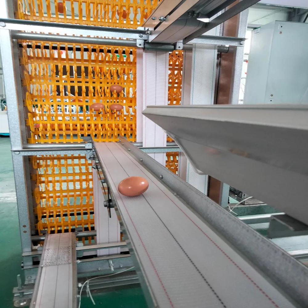 Uganda Poultry Farm Automatic Poultry Chicken Layer Breeding Cage