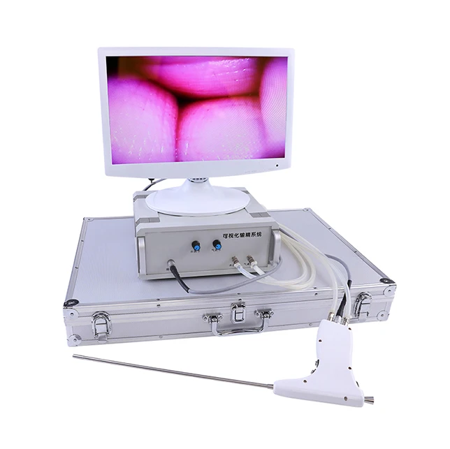 Canine visual infusion system for dog