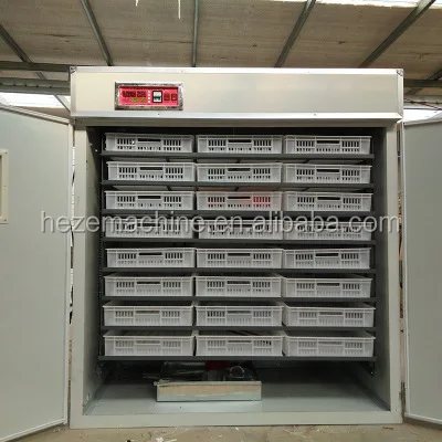 Инкубатор инкубатор 5000 для куриных яиц цыплят