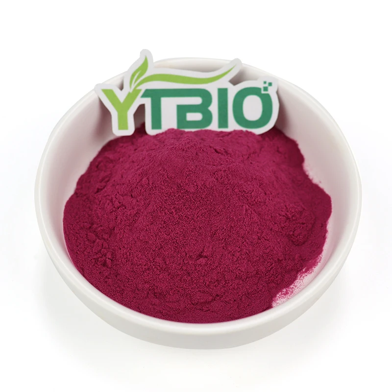 
Factory supply blueberry juice powder with the best price 