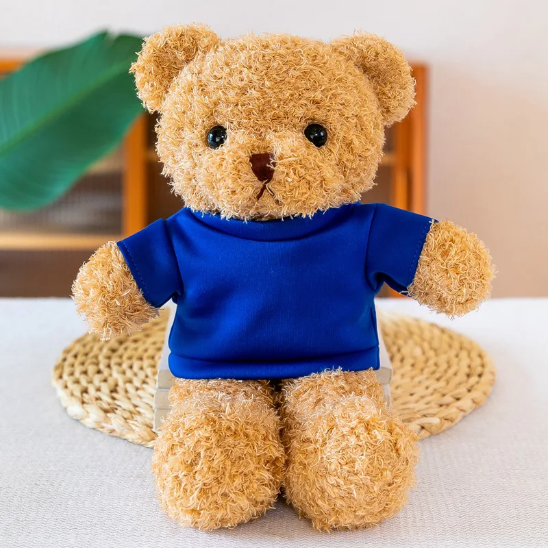 Custom stuffed teddy bear plush fantastic frog toys with shirt hoodies
