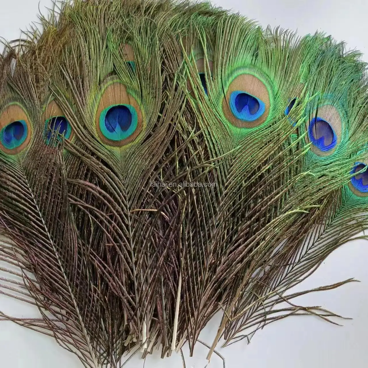 Cheap Natural Indian Peacock feathers tail feather for crafts accessory party costumes dance dress decoration