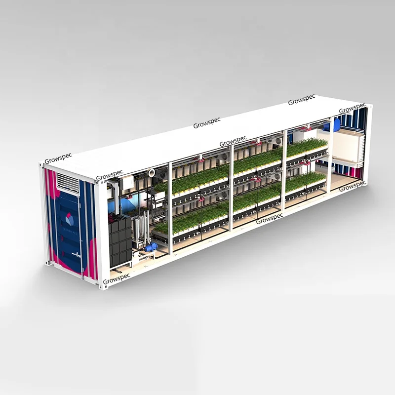 OEM Indoor Hydroponic Mobile Racks Reefer Lettuce Growing Container Farm