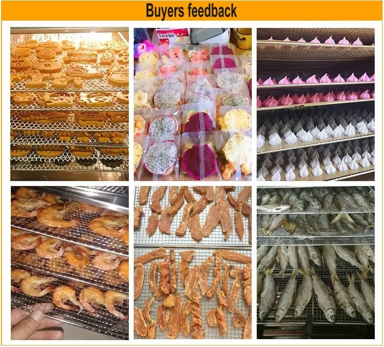 Fruit Dehydrator Machine.jpg