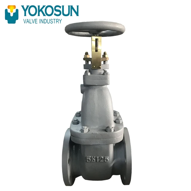 JIS F7363 CAST IRON 5K GATE VALVES