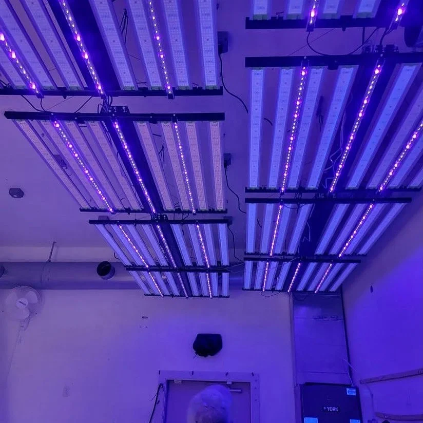 UV bars separately control samsung 301h 281b 1000w LED grow light for indoor plants veg and blooming
