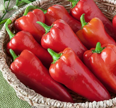 HIGH QUALITY Fresh Capia Pepper  - TURKEY (Antalya) 2022