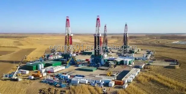 Mud Shale Shaker OEM Adjustable Sales HDD Vibration Force Weight Electric Meter Mechanical Origin Repair Maintenance Control ISO