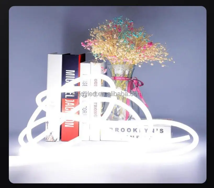 360 degree neon light -17.jpg