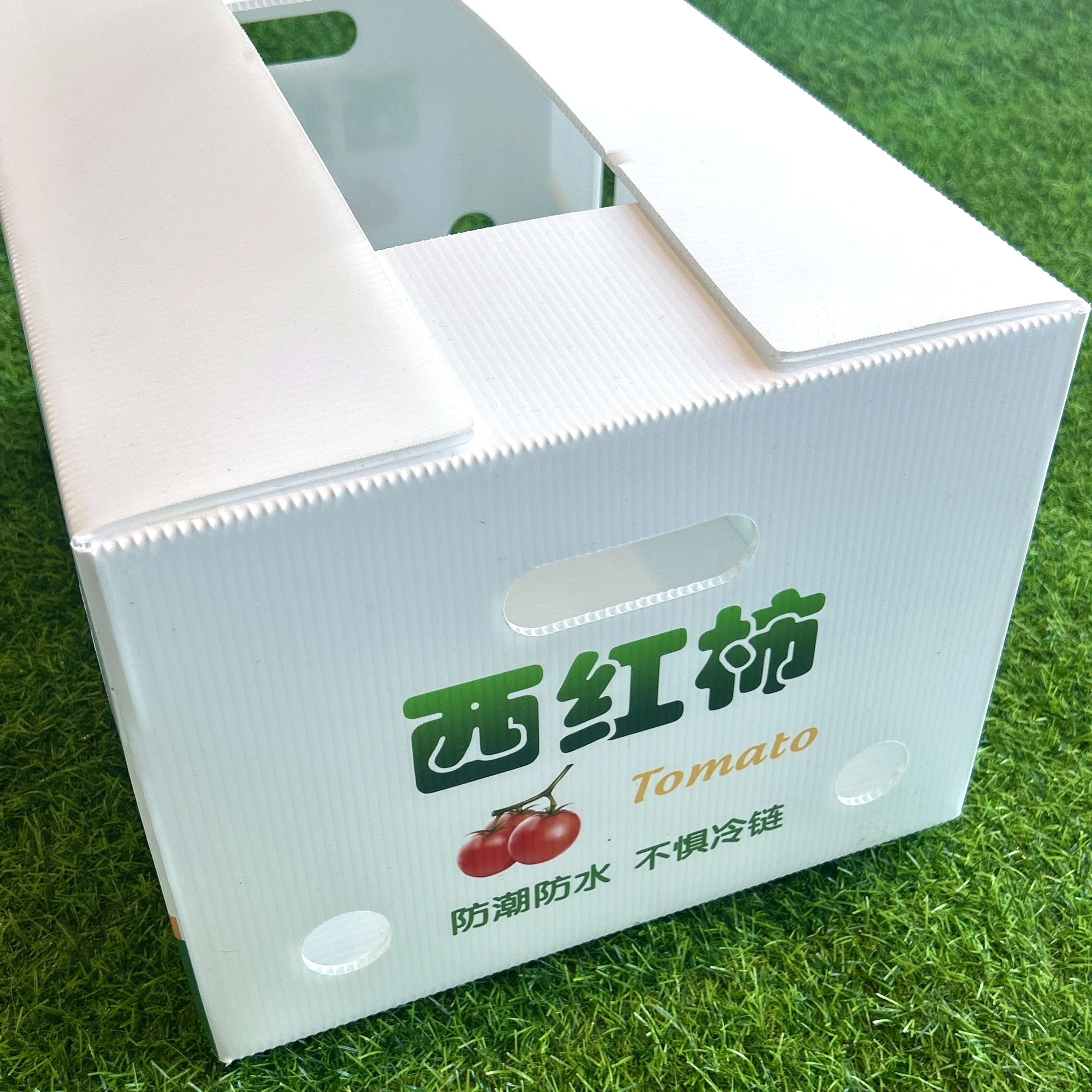 Fresh vegetables PP packing corrugated plastic box tomato  packaging box for storage