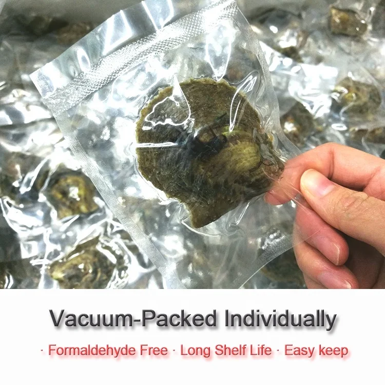 
6-7mm Vacuum Packed Akoya Shell Live Oysters Gift Loose Love AAAA Dyed Bulk Akoya Pearl Oyster With Pearl 