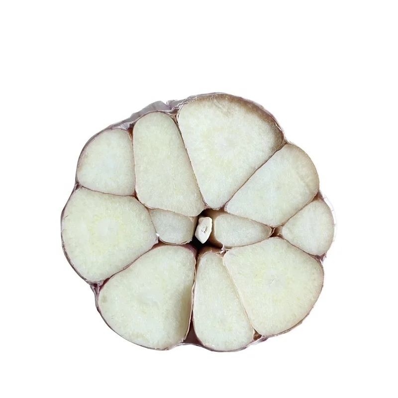 Chinese powerful supplier jin xiang fresh garlic for wholesale