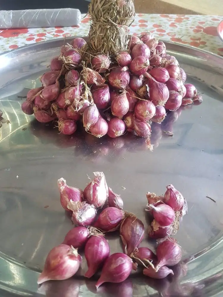 
AD Organic Export chinese thai indian Red onion fresh red shallot with best prices ads Agriculture Thai farm High Quality 