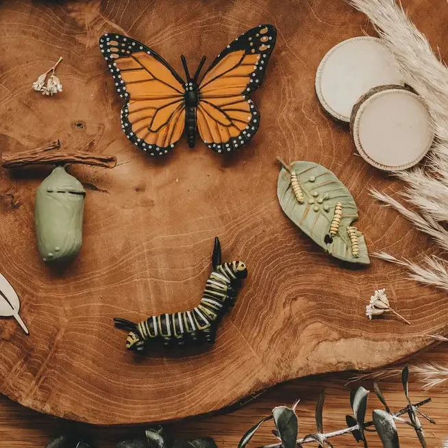 CPC CE Life Cycle Toys, Animal Figurines Toys Preschool Learning Education Montessori Toys for Kids