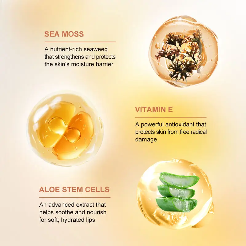 Long Lasting Aloe Stem Cells Nourishes Soft Lips Antioxidant Vitamin E Private Label Vegan SPF 30 Lip Balm